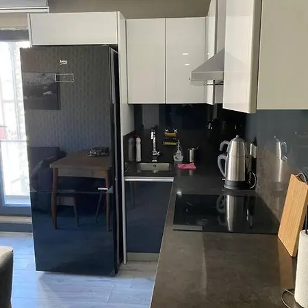 Sevimli Mustakil Apartman Bir Yatak Odasi Bir Salon Ve Balkonlu * Istanbul