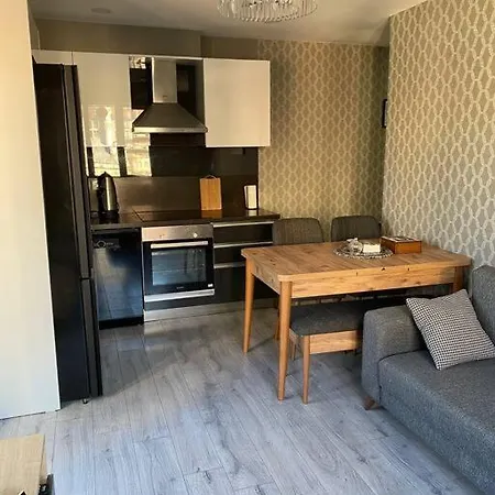 Sevimli Mustakil Apartman Bir Yatak Odasi Bir Salon Ve Balkonlu Apartment *