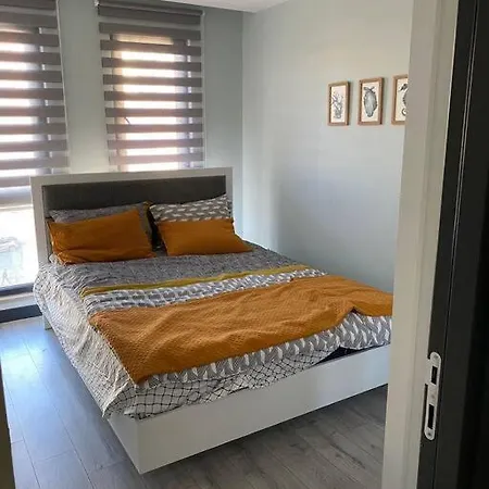 Sevimli Mustakil Apartman Bir Yatak Odasi Bir Salon Ve Balkonlu
