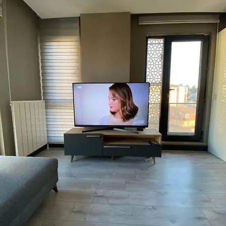 Sevimli Mustakil Apartman Bir Yatak Odasi Bir Salon Ve Balkonlu Istanbul