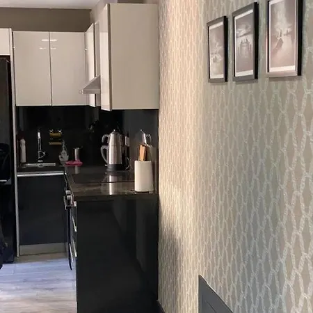 Sevimli Mustakil Apartman Bir Yatak Odasi Bir Salon Ve Balkonlu *