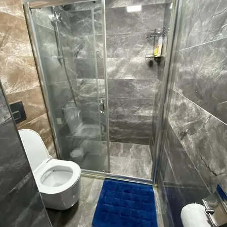 Sevimli Mustakil Apartman Bir Yatak Odasi Bir Salon Ve Balkonlu