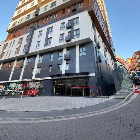 Sevimli Mustakil Apartman Bir Yatak Odasi Bir Salon Ve Balkonlu