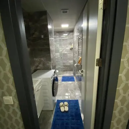 Sevimli Mustakil Apartman Bir Yatak Odasi Bir Salon Ve Balkonlu *
