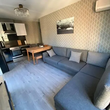 Sevimli Mustakil Apartman Bir Yatak Odasi Bir Salon Ve Balkonlu *