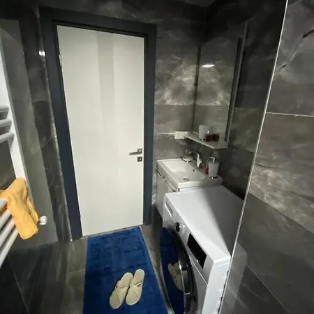 Sevimli Mustakil Apartman Bir Yatak Odasi Bir Salon Ve Balkonlu