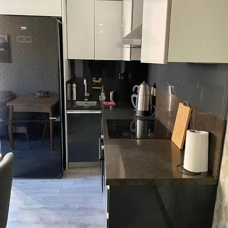 Sevimli Mustakil Apartman Bir Yatak Odasi Bir Salon Ve Balkonlu